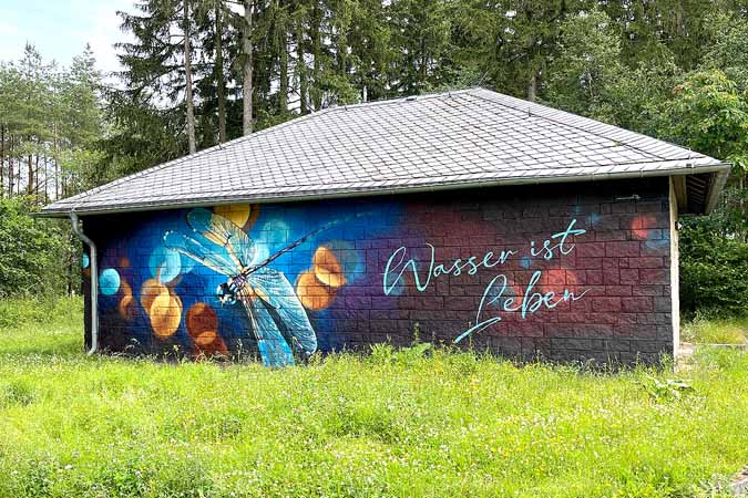 art by nico 'CEBU' roth